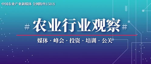 互聯(lián)網(wǎng)農(nóng)業(yè) 農(nóng)產(chǎn)品品牌化才是銷售 大贏家