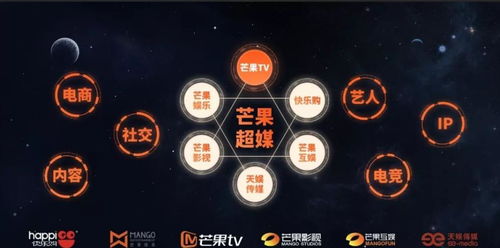 湖南廣電旗下上市公司回應(yīng)解約錢(qián)楓 他不是公司藝人